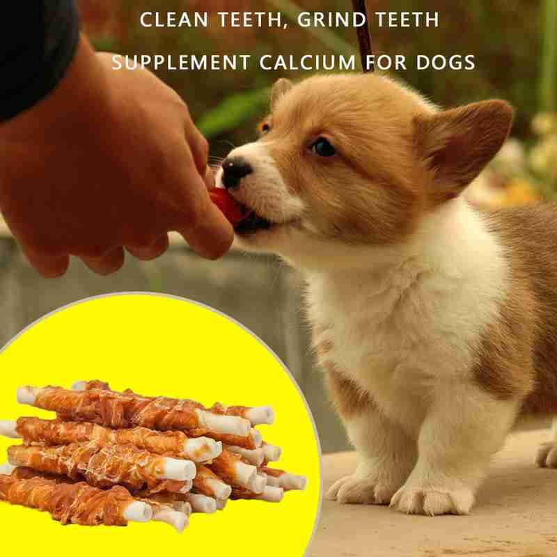 Coffret cadeau de snacks pour chiens avec du bœuf frais, du poulet, des fruits, mangeoire pour chiens, des dents propres, des récompenses, des récompenses pour les petits et grands chiens